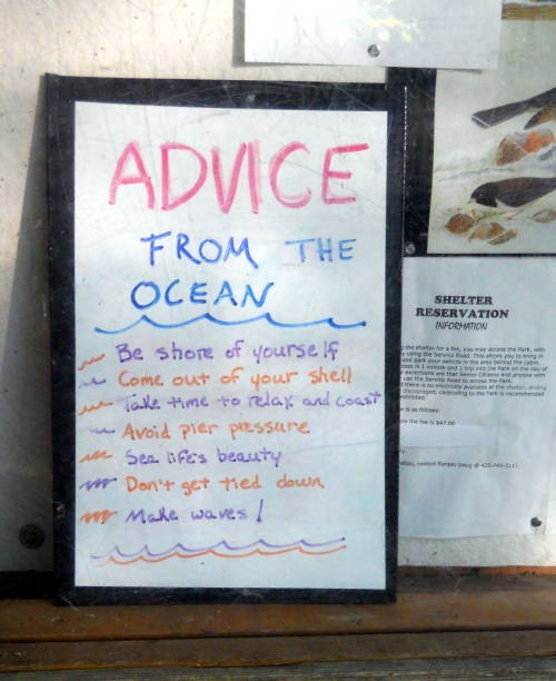 Advice from the Ocean Closeup